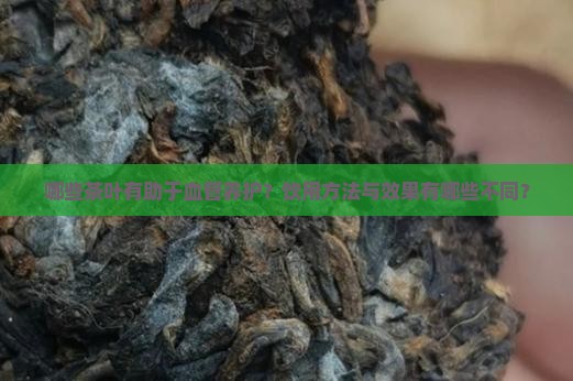 哪些茶叶有助于血管养护？饮用方法与效果有哪些不同？