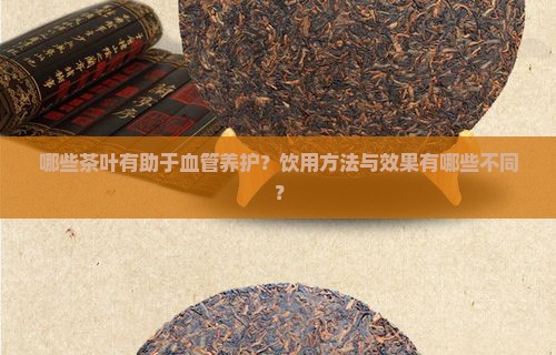哪些茶叶有助于血管养护？饮用方法与效果有哪些不同？