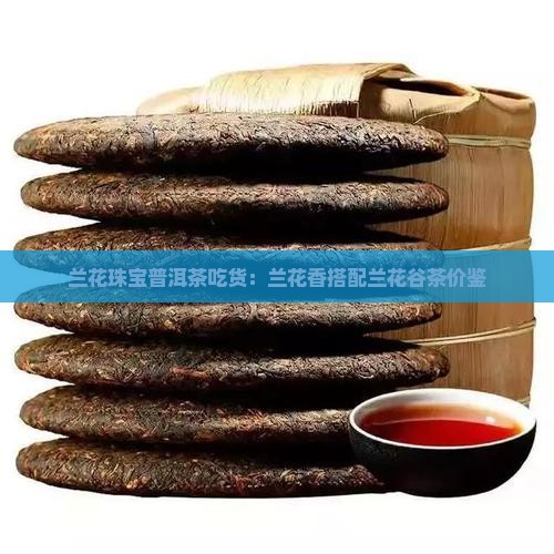 兰花珠宝普洱茶吃货：兰花香搭配兰花谷茶价鉴