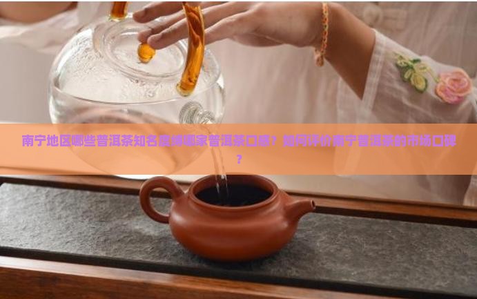南宁地区哪些普洱茶知名度缚哪家普洱茶口感？如何评价南宁普洱茶的市场口碑？