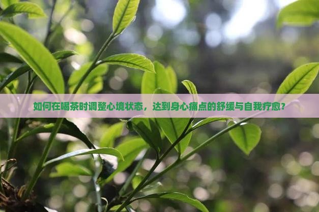 如何在喝茶时调整心境状态，达到身心痛点的舒缓与自我疗愈？