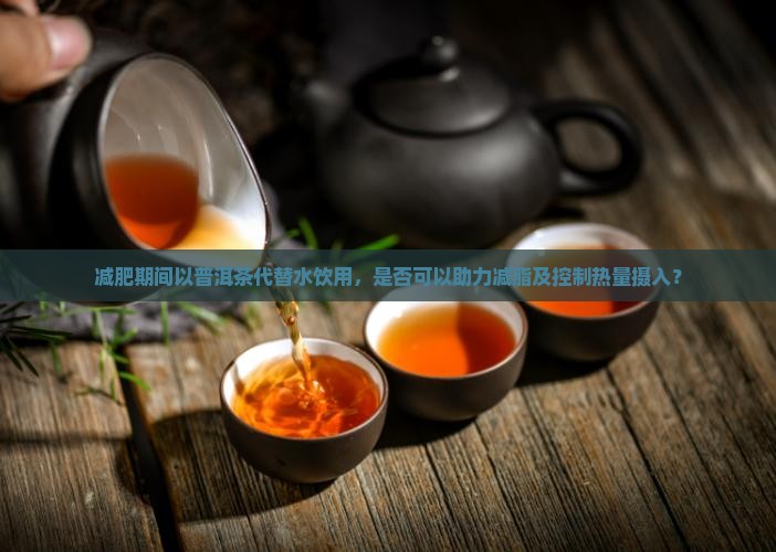 减肥期间以普洱茶代替水饮用，是否可以助力减脂及控制热量摄入？