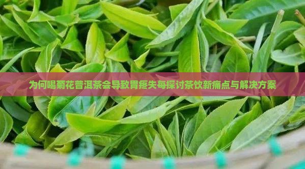 为何喝菊花普洱茶会导致胃疼失每探讨茶饮新痛点与解决方案