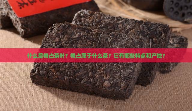 什么是梅占茶叶？梅占属于什么茶？它有哪些特点和产地？