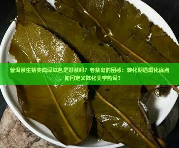 普洱茶生茶变成深红色是好茶吗？老茶鬼的困惑：转化期遇氧化痛点，如何定义陈化美学热词？