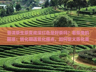 普洱茶生茶变成深红色是好茶吗？老茶鬼的困惑：转化期遇氧化痛点，如何定义陈化美学热词？