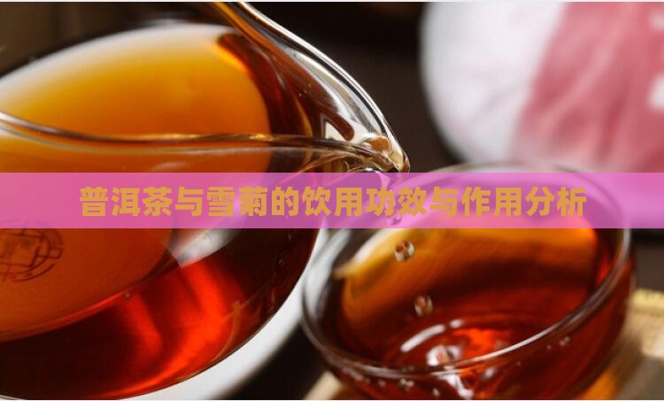 普洱茶与雪菊的饮用功效与作用分析