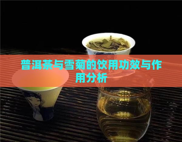 普洱茶与雪菊的饮用功效与作用分析
