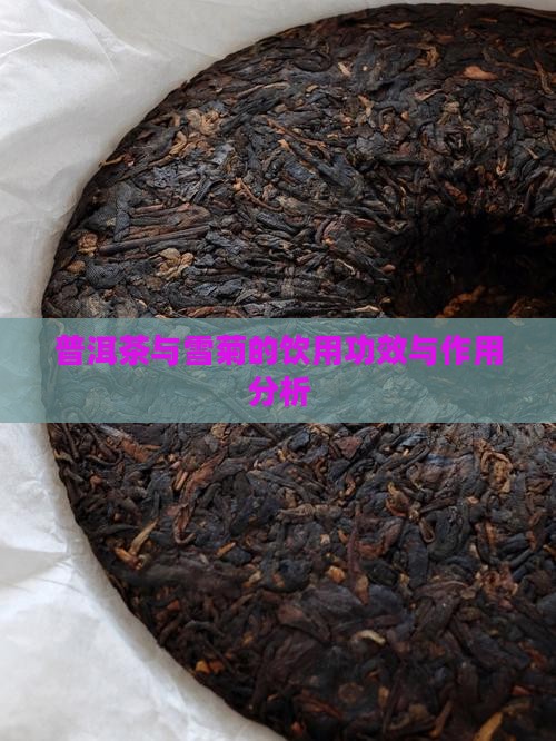 普洱茶与雪菊的饮用功效与作用分析