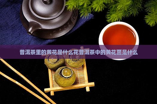 普洱茶里的黄花是什么花普洱茶中的黄花菌是什么