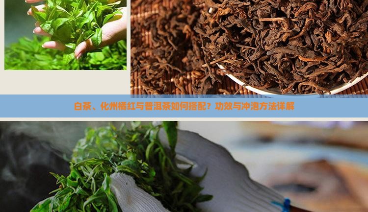 白茶、化州橘红与普洱茶如何搭配？功效与冲泡方法详解