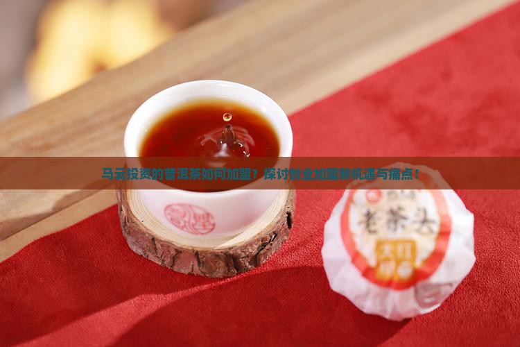 马云投资的普洱茶如何加盟？探讨创业加盟新机遇与痛点！