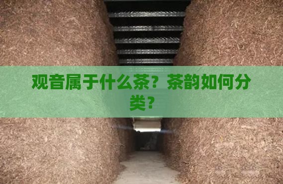 观音属于什么茶？茶韵如何分类？