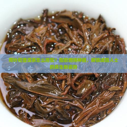 荷叶和普洱茶怎么搭配？脂肪燃烧神器，解锁减脂人士的养生新姿势