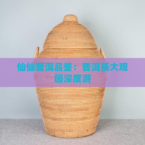 仙仙普洱品鉴：普洱茶大观园深度游