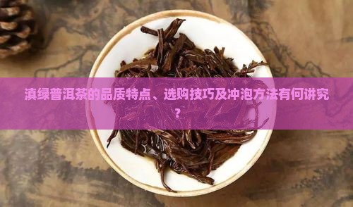 滇绿普洱茶的品质特点、选购技巧及冲泡方法有何讲究？