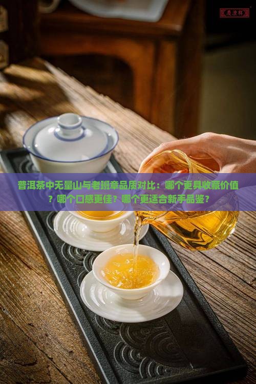 普洱茶中无量山与老班章品质对比：哪个更具收藏价值？哪个口感更佳？哪个更适合新手品鉴？