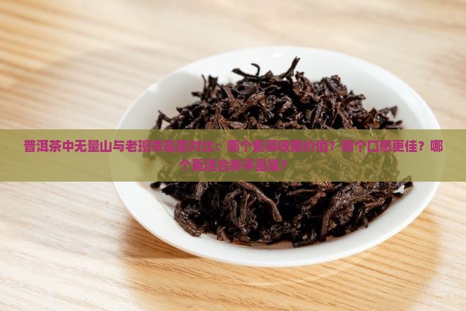 普洱茶中无量山与老班章品质对比：哪个更具收藏价值？哪个口感更佳？哪个更适合新手品鉴？