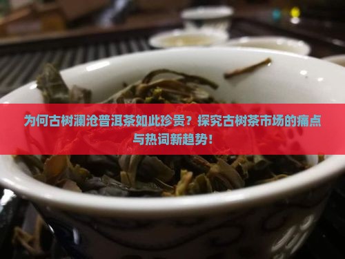 为何古树澜沧普洱茶如此珍贵？探究古树茶市场的痛点与热词新趋势！