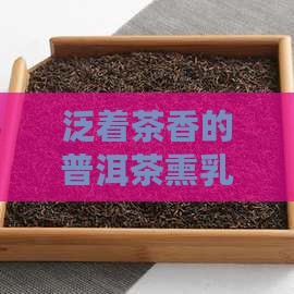泛着茶香的普洱茶熏乳鸽是真的吗