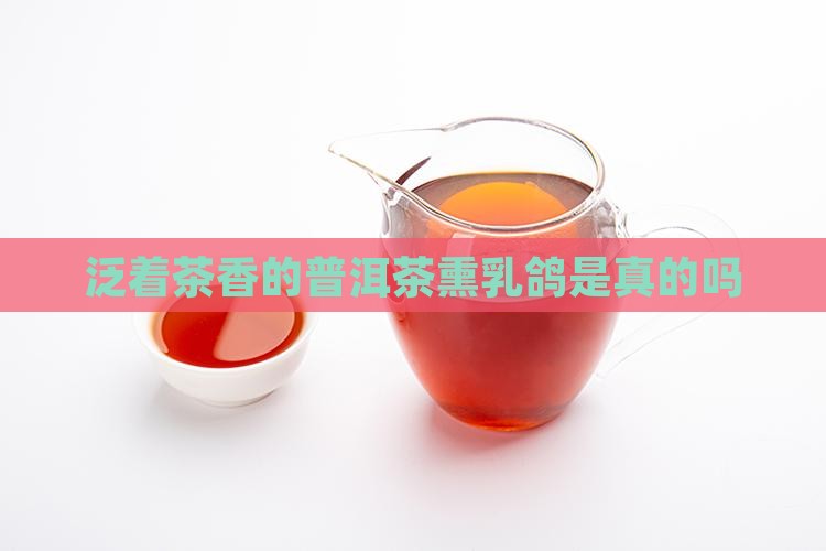 泛着茶香的普洱茶熏乳鸽是真的吗