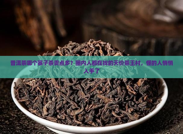 普洱茶哪个寨子茶贵点多？圈内人都在找的天价茶王村，懂的人悄悄入手了