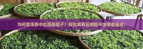 为何普洱茶中出现茶噎子？探究其背后原因与消费者痛点！