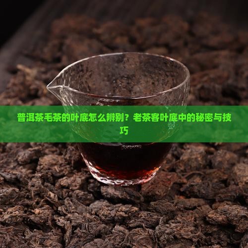 普洱茶毛茶的叶底怎么辨别？老茶客叶底中的秘密与技巧