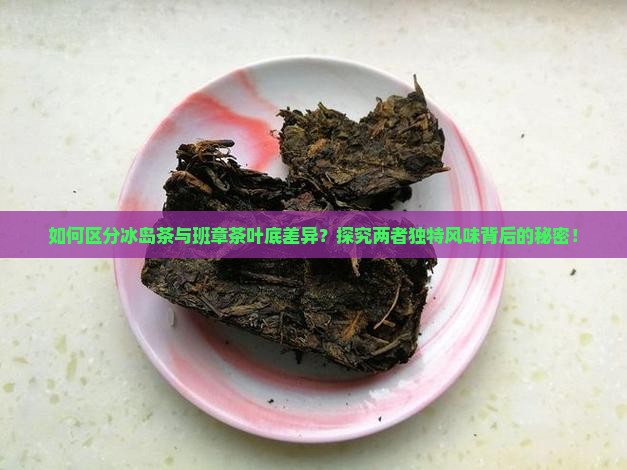 如何区分冰岛茶与班章茶叶底差异？探究两者独特风味背后的秘密！