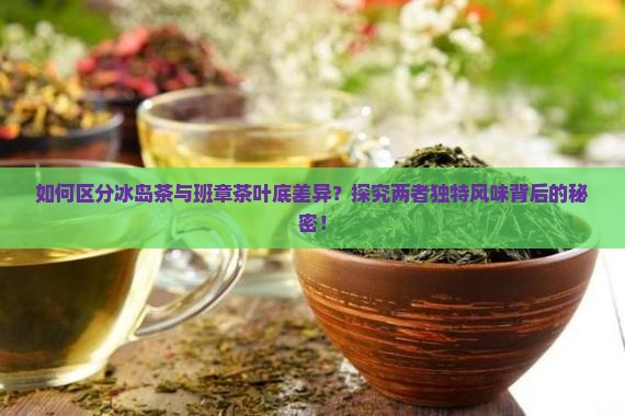 如何区分冰岛茶与班章茶叶底差异？探究两者独特风味背后的秘密！