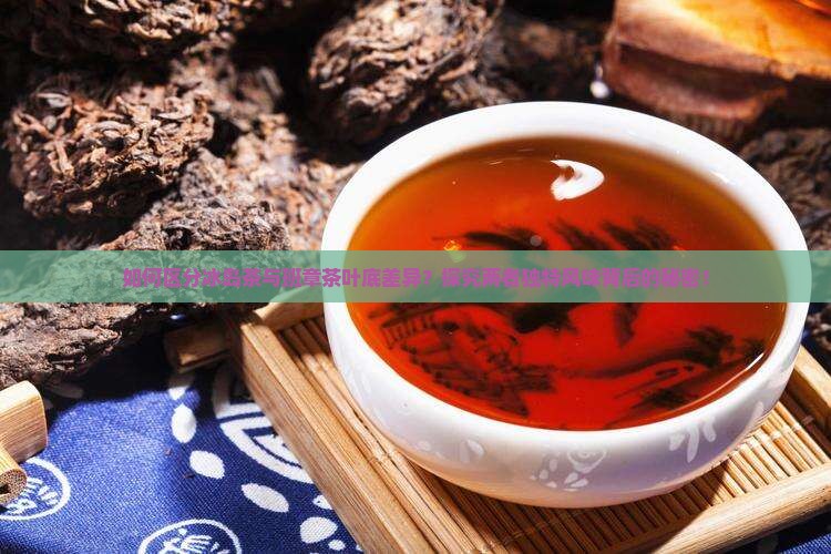 如何区分冰岛茶与班章茶叶底差异？探究两者独特风味背后的秘密！