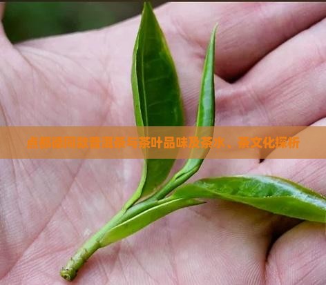点都德同款普洱茶与茶叶品味及茶水、茶文化探析