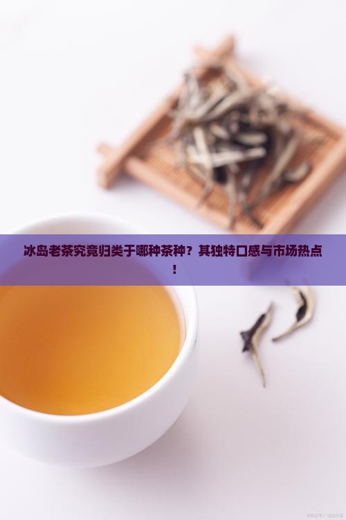 冰岛老茶究竟归类于哪种茶种？其独特口感与市场热点！