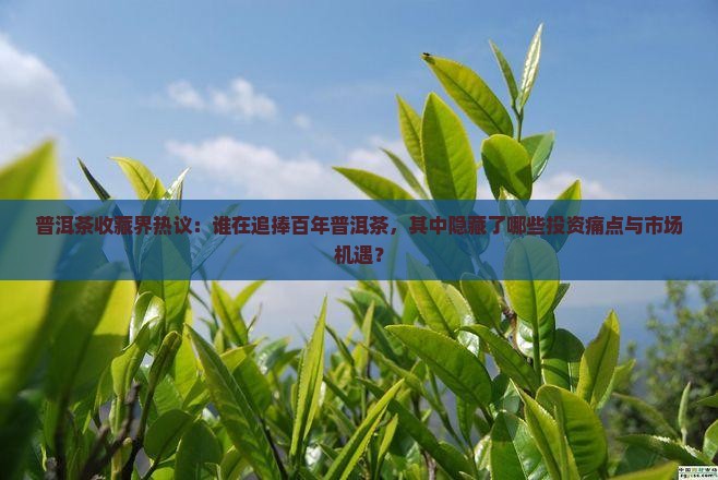 普洱茶收藏界热议：谁在追捧百年普洱茶，其中隐藏了哪些投资痛点与市场机遇？