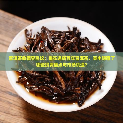 普洱茶收藏界热议：谁在追捧百年普洱茶，其中隐藏了哪些投资痛点与市场机遇？