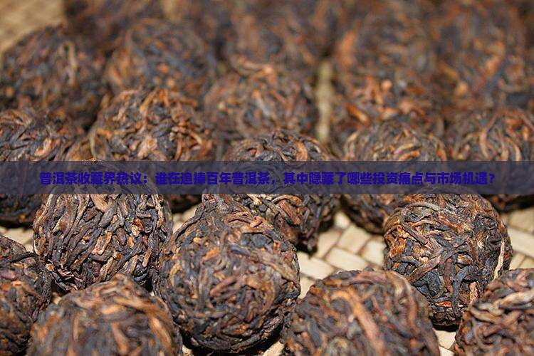普洱茶收藏界热议：谁在追捧百年普洱茶，其中隐藏了哪些投资痛点与市场机遇？