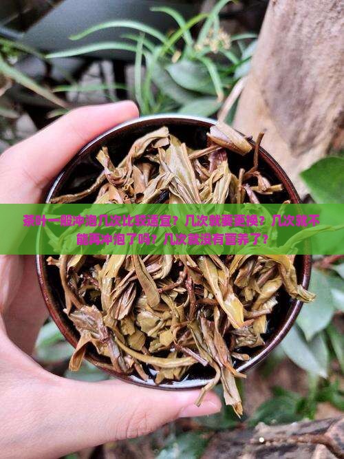 茶叶一般冲泡几次比较适宜？几次就要更换？几次就不能再冲泡了吗？几次就没有营养了？