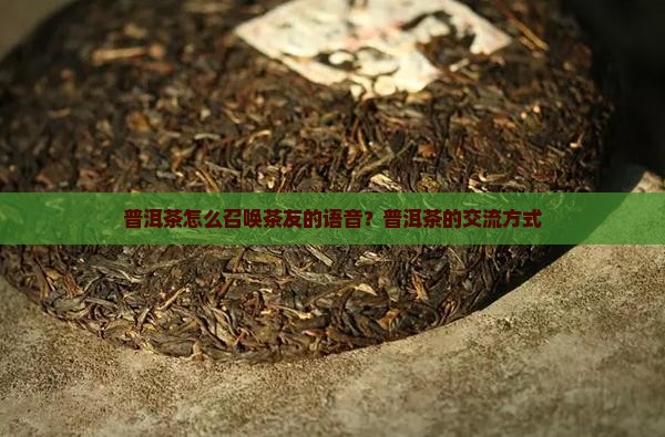 普洱茶怎么召唤茶友的语音？普洱茶的交流方式