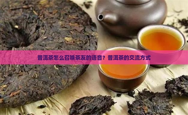 普洱茶怎么召唤茶友的语音？普洱茶的交流方式
