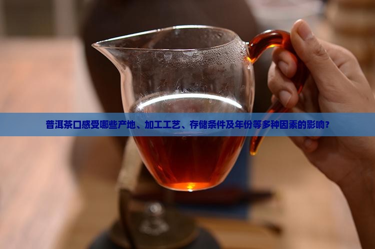 普洱茶口感受哪些产地、加工工艺、存储条件及年份等多种因素的影响？