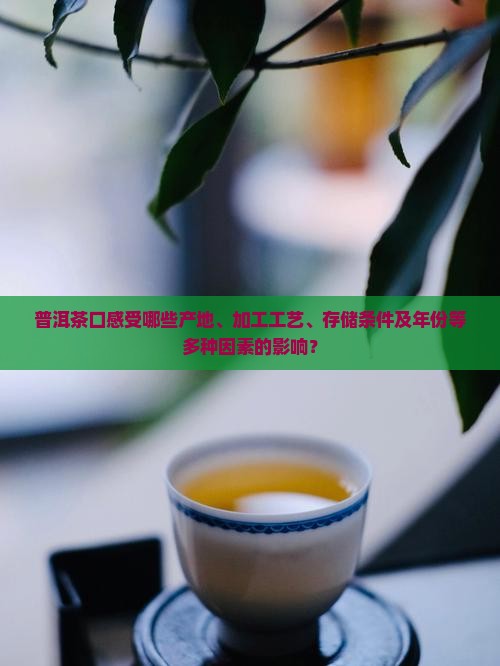 普洱茶口感受哪些产地、加工工艺、存储条件及年份等多种因素的影响？