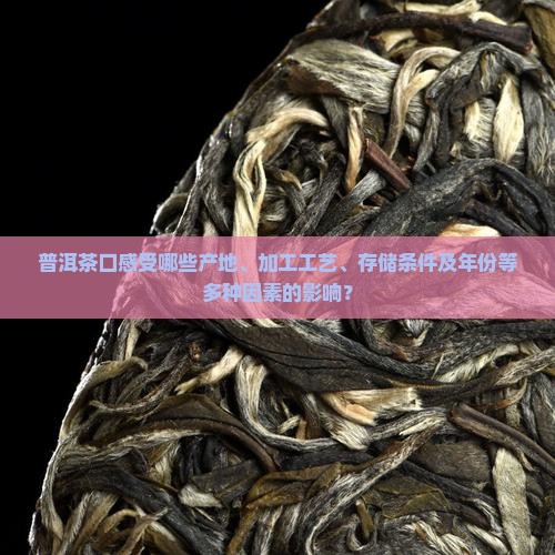 普洱茶口感受哪些产地、加工工艺、存储条件及年份等多种因素的影响？