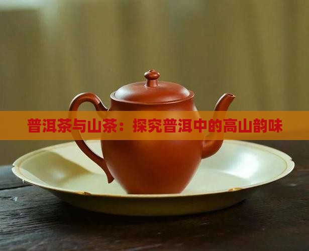 普洱茶与山茶：探究普洱中的高山韵味