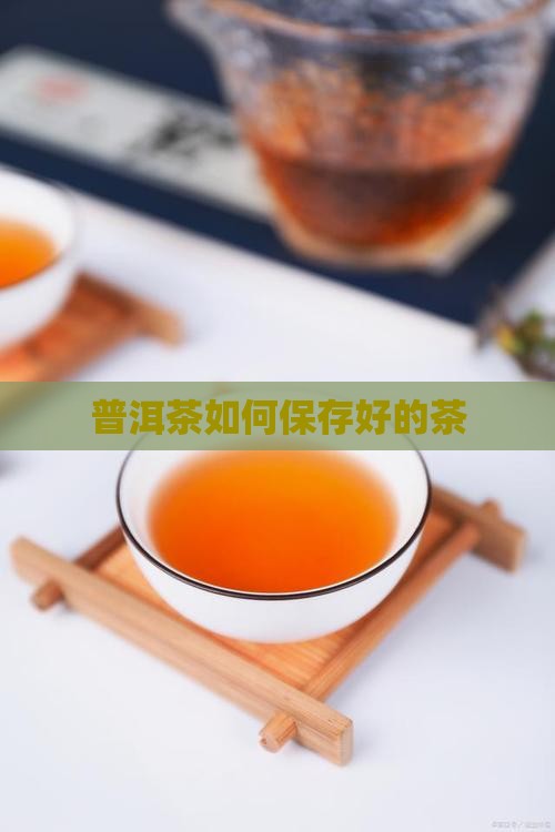 普洱茶如何保存好的茶