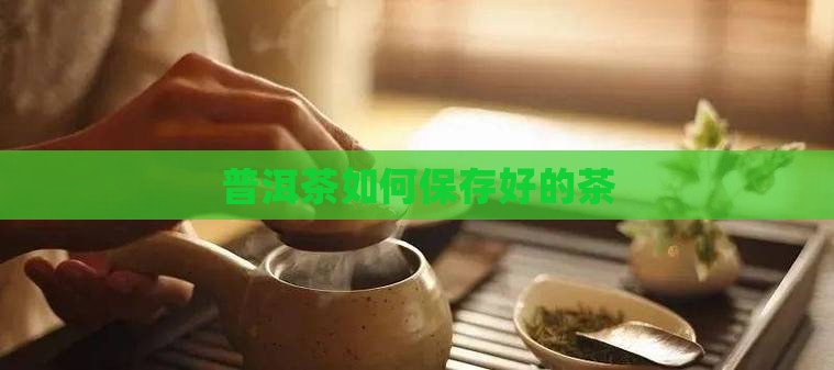 普洱茶如何保存好的茶