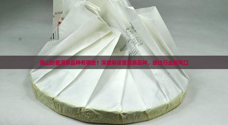 保山的普洱茶品种有哪些？深度解读普洱茶品种，抓住行业新风口