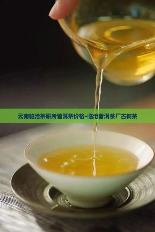 云南临沧茶研所普洱茶价格-临沧普洱茶厂古树茶