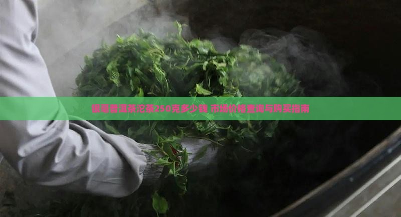 银毫普洱茶沱茶250克多少钱 市场价格查询与购买指南
