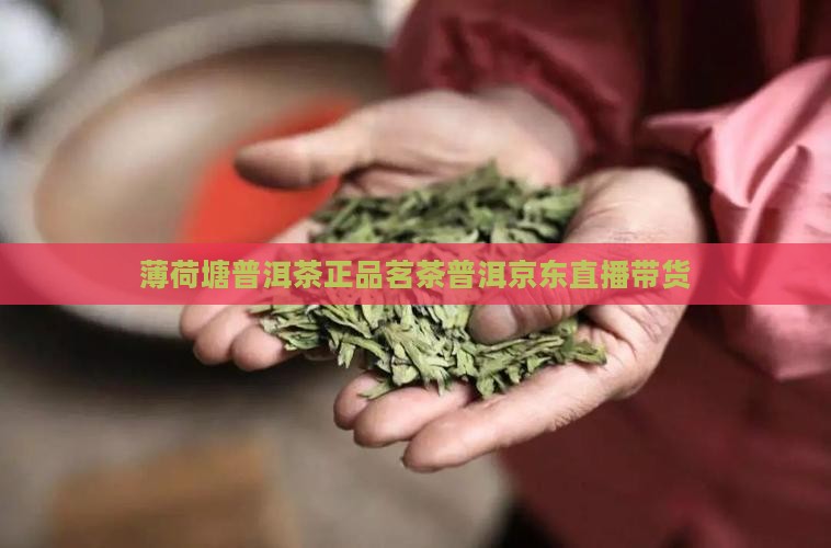 薄荷塘普洱茶正品茗茶普洱京东直播带货