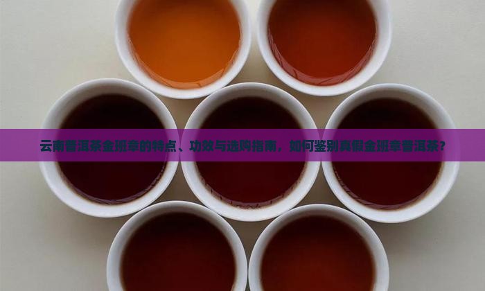 云南普洱茶金班章的特点、功效与选购指南，如何鉴别真假金班章普洱茶？